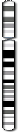 Chromosome 10