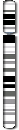 Chromosome 12