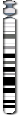 Chromosome 13