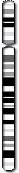 Chromosome 5