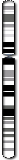 Chromosome 6