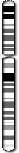 Chromosome 7