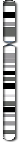 Chromosome 8