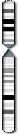 Chromosome 9